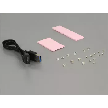 Adaptador USB 3.2 Gen 1 interno DeLOCK 62731