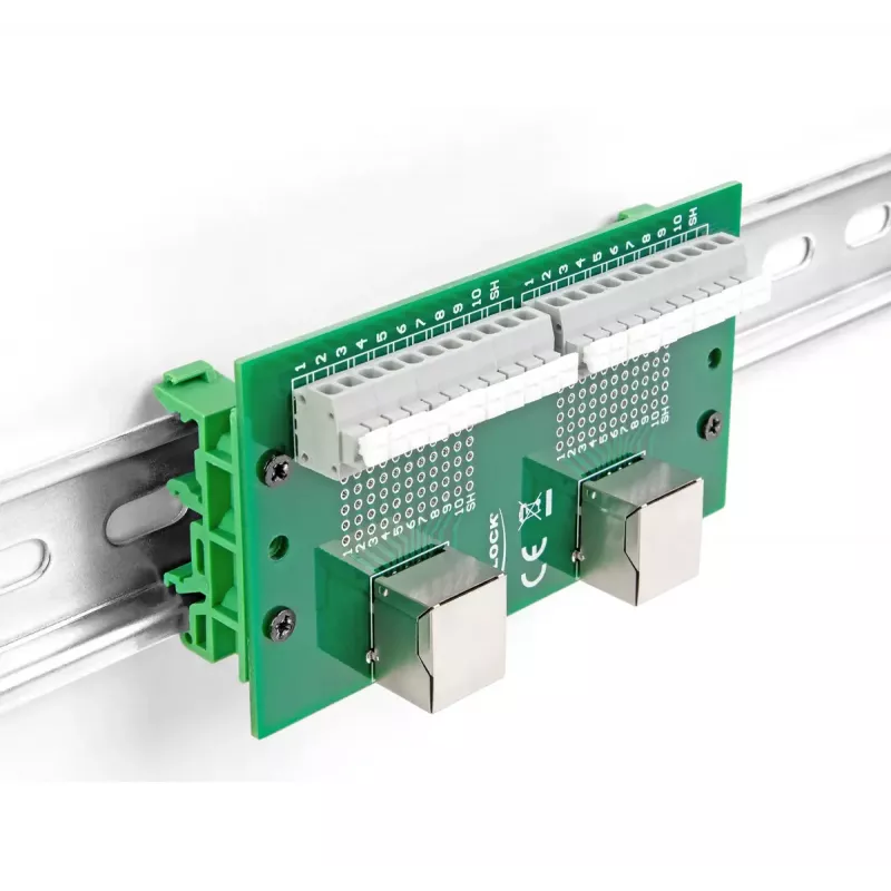 DeLOCK RJ50 2 x conector hembra a 2 x borne de conexión con botón a presión para carril DIN