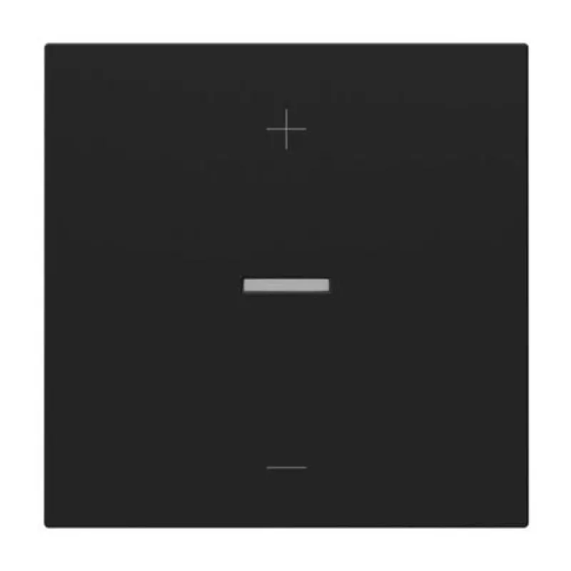 Legrand 765349 Placa embellecedora/Placa de interruptor negro