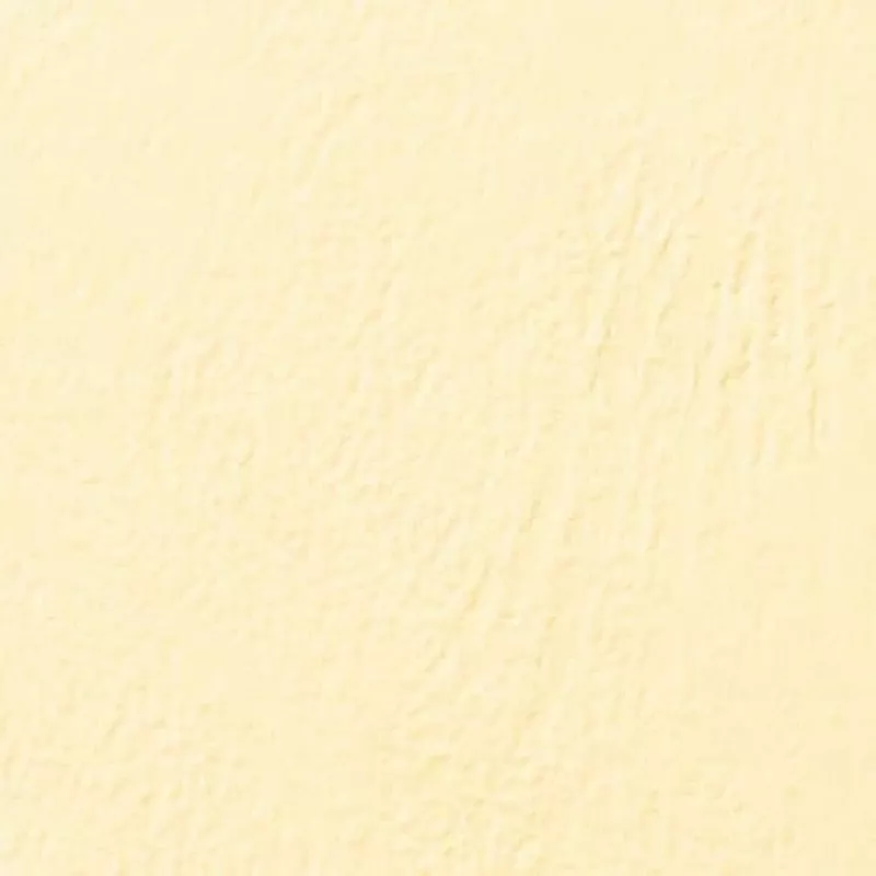 GBC LeatherGrain CE040065 tapas de encuadernación, A4 (210 x 297 mm), 250 g/m², color marfil, 100 uds.
