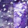 Kapsolo KAP30437 protector de pantalla de privacidad 15,5 cm (6,1 pulgadas), 9H