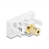 DeLOCK módulo Easy 45 conector jack de 3,5 mm de 4 pines hembra a hembra, chapado en oro, blanco (90841)