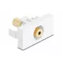 DeLOCK módulo Easy 45 conector jack de 3,5 mm de 4 pines hembra a hembra, chapado en oro, blanco (90841)
