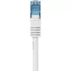 Renkforce Cable de red Cat6a S/FTP 1381764, 10 m, gris