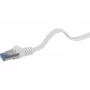 Cable de red Renkforce RF-4149840 Cat6a U/FTP 1m gris