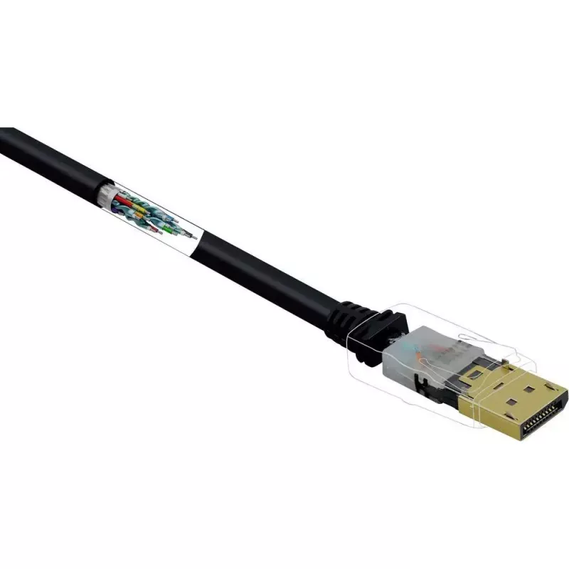 Cable DisplayPort Renkforce RF-4212204 3 m negro