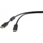 Cable DisplayPort Renkforce RF-4212204 3 m negro