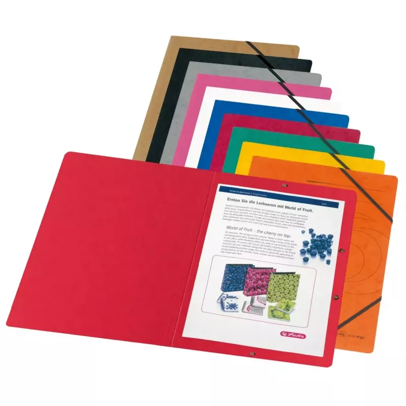 Carpeta de cartón colores surtidos A4 Herlitz 11166816