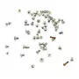 CoreParts MSPP73437 pieza de repuesto para móvil set de tornillos plata