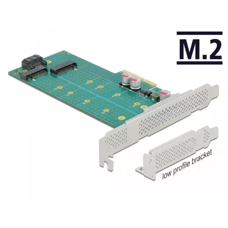 Tarjeta de expansión DeLOCK PCI Express x4 a M.2 Key B + M - perfil bajo