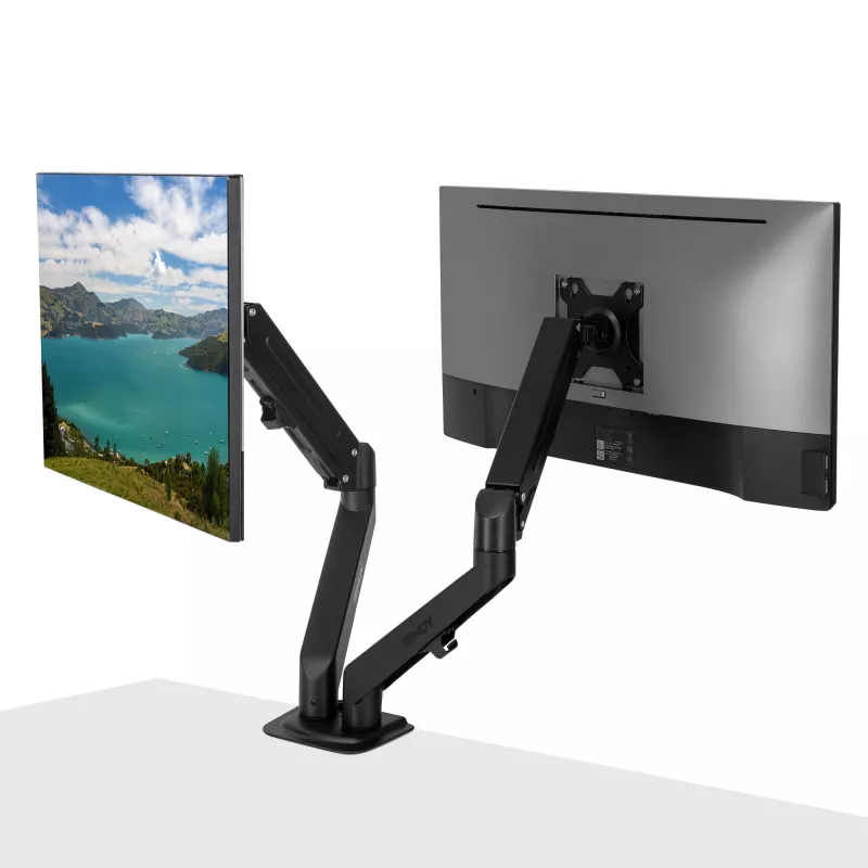 Lindy 40708 brazo de muelle de gas de sobremesa de doble soporte, negro