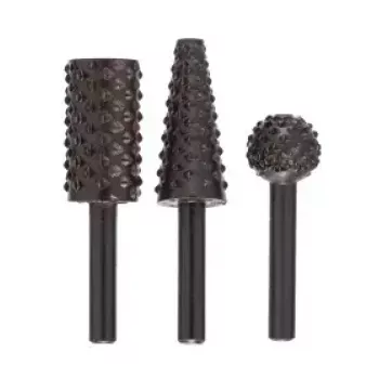 Bosch 2609255302 escofina