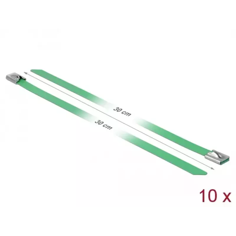 Bridas DeLOCK 18806 acero verde 300 mm 10 uds.