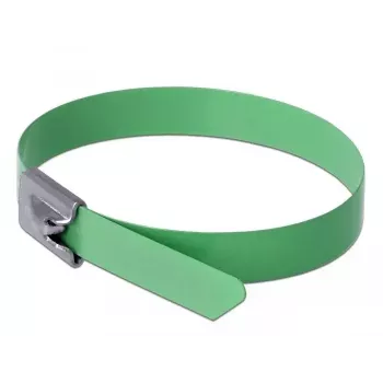 Bridas DeLOCK 18806 acero verde 300 mm 10 uds.
