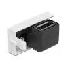 Módulo DisplayPort DeLOCK Easy 45 81306
