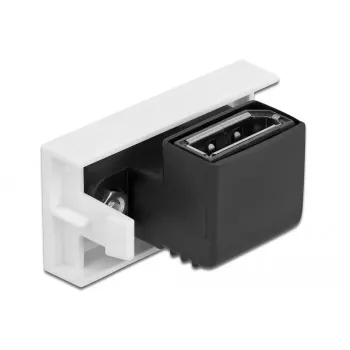 Módulo DisplayPort DeLOCK Easy 45 81306