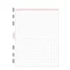Avery Zweckform Chronoplan 50304 hojas de recambio cuadriculadas para agenda A5, 50 hojas, 80 g/m²