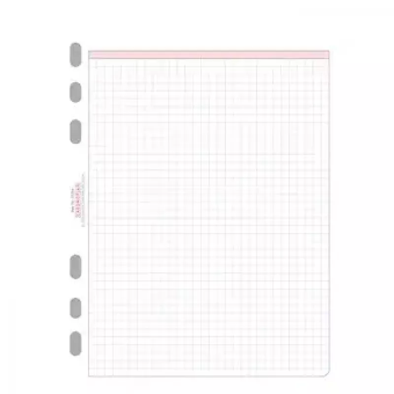 Avery Zweckform Chronoplan 50304 hojas de recambio cuadriculadas para agenda A5, 50 hojas, 80 g/m²