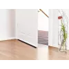 tesa Moll STANDARD tira de sellado para puertas, transparente, 37 mm x 1 m, 05433-00102-00
