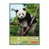 Herlitz 10416634 bloc de dibujo, A3, 25 hojas, 100 g/m2