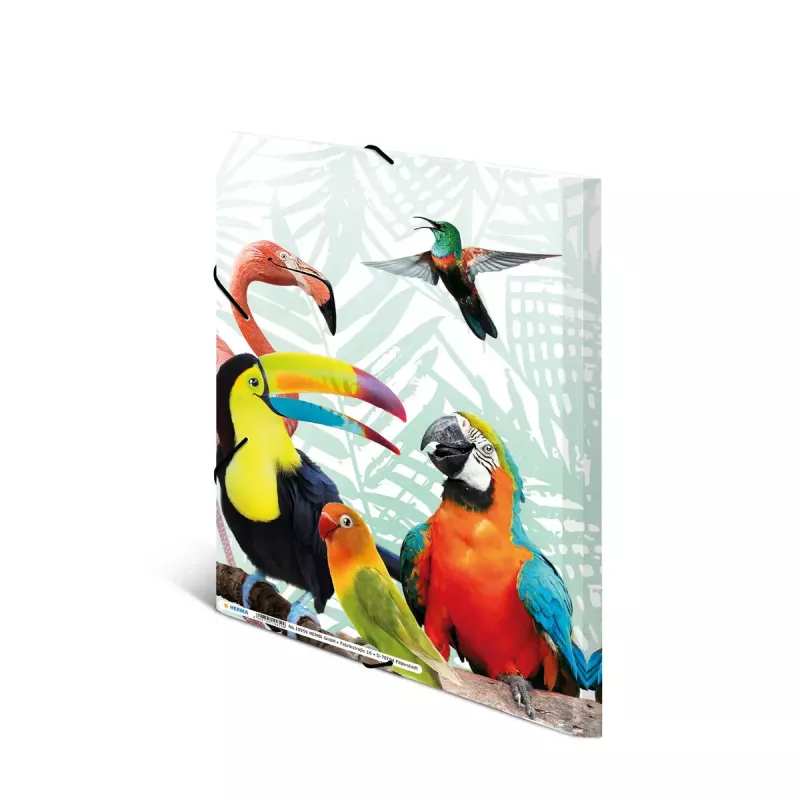 Carpeta de documentos convencional HERMA Tropical Clique