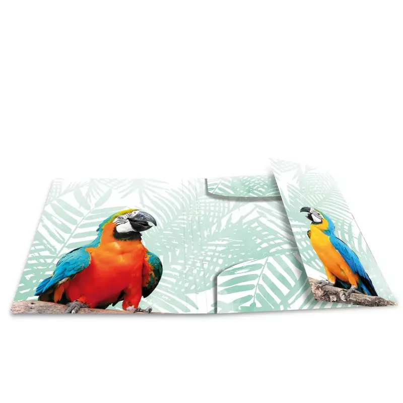 Carpeta de documentos convencional HERMA Tropical Clique
