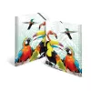 Carpeta de documentos convencional HERMA Tropical Clique