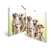 Carpeta de documentos convencional HERMA Erdmännchen-Trupp 19961