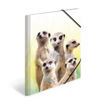 Carpeta de documentos convencional HERMA Erdmännchen-Trupp 19961