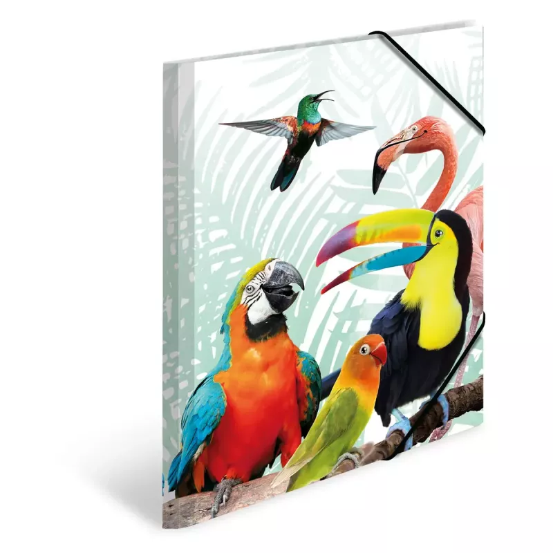 Carpeta convencional HERMA Tropical Clique A3