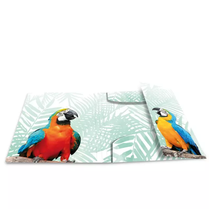 Carpeta convencional HERMA Tropical Clique A3