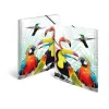 Carpeta convencional HERMA Tropical Clique A3