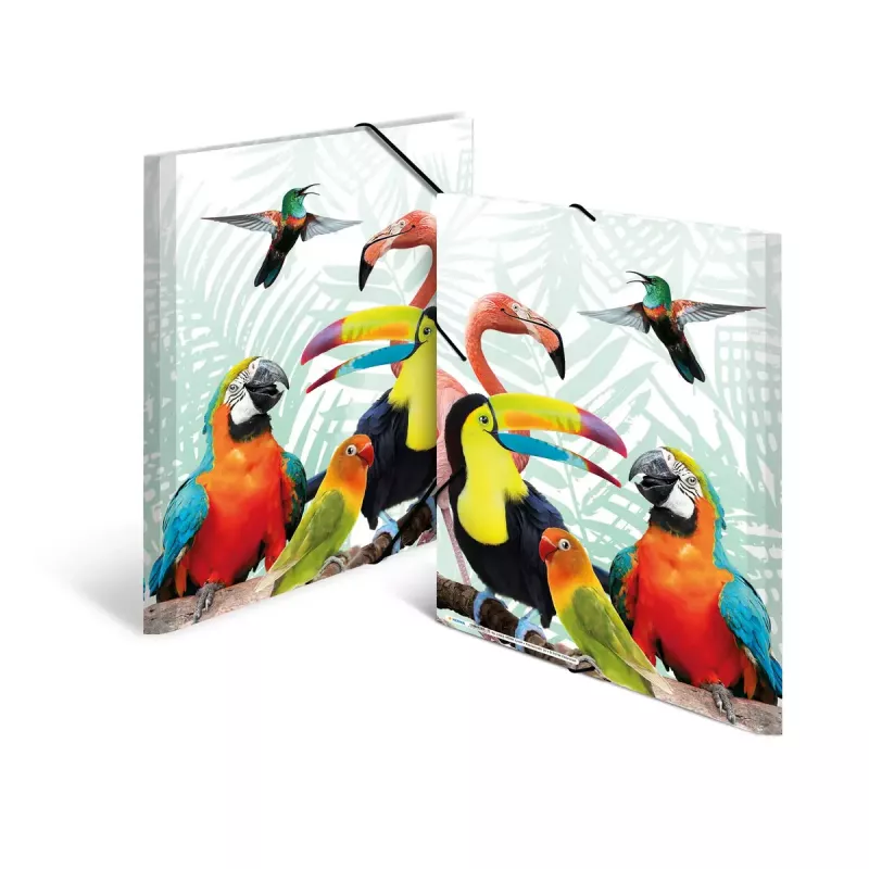 Carpeta convencional HERMA Tropical Clique A3