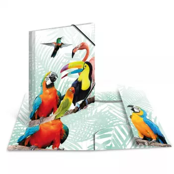 Carpeta convencional HERMA Tropical Clique A3