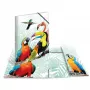 Carpeta convencional HERMA Tropical Clique A3