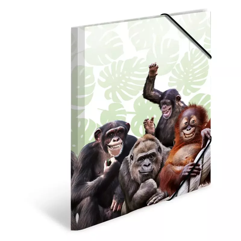 Carpeta de archivo convencional HERMA Monkey Gang Polipropileno A3