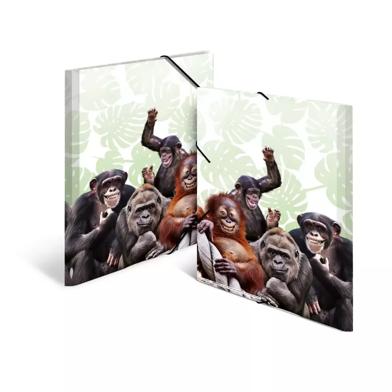 Carpeta de archivo convencional HERMA Monkey Gang Polipropileno A3