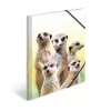 Carpeta de archivo convencional HERMA Erdmännchen-Clique