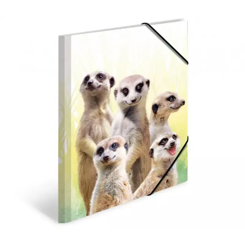 Carpeta de archivo convencional HERMA Erdmännchen-Clique