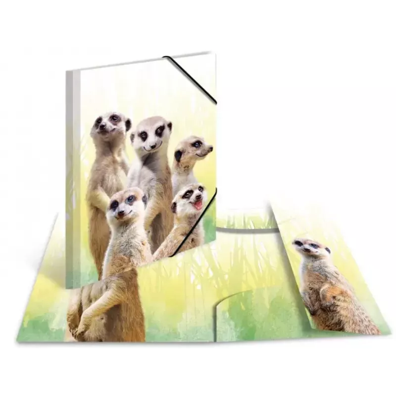 Carpeta de archivo convencional HERMA Erdmännchen-Clique