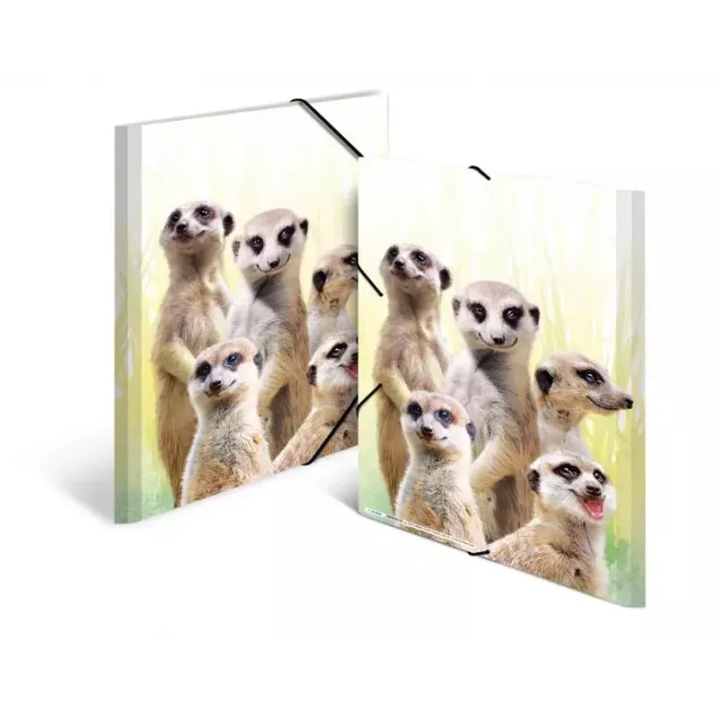 Carpeta de archivo convencional HERMA Erdmännchen-Clique