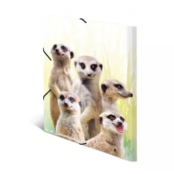 Carpeta de archivo convencional HERMA Erdmännchen-Clique