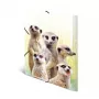 Carpeta de archivo convencional HERMA Erdmännchen-Clique
