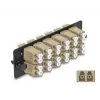 Placa adaptadora de fibra óptica DeLOCK LC Duplex OM1 OM2 12 puertos beige