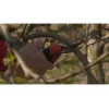 Tijera de jardín de bypass Bahco PXR-M2 negro rojo acero inoxidable