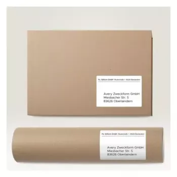 Etiqueta autoadhesiva para impresora AVERY 6601 Blanco 10,5 x 14,8 cm 260 etiquetas
