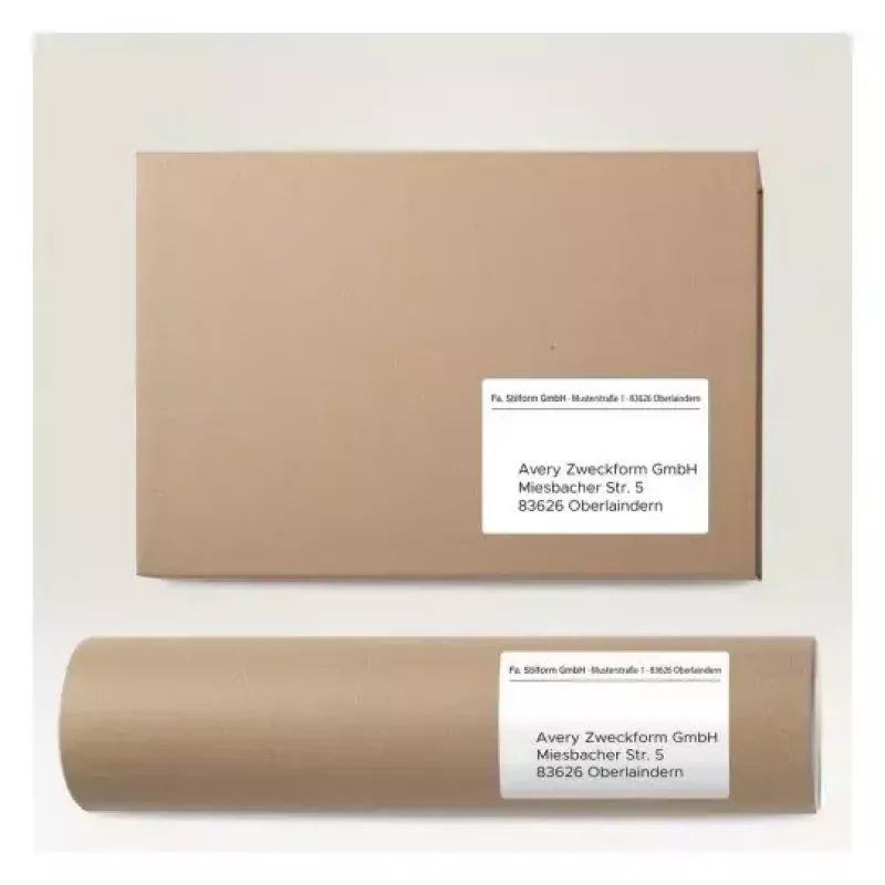 Etiqueta autoadhesiva para impresora AVERY 6601 Blanco 10,5 x 14,8 cm 260 etiquetas