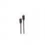 shiverpeaks BASIC-S cable de USB-C a USB-C, USB 3.2 Gen 2x2, 100 W, 2 m