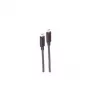 Cable USB ShiverPeaks BS30-41045 USB 3.2 Gen 2 3 m USB-C negro