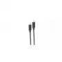 Cable USB ShiverPeaks BS30-41075 10 m USB 3.2 Gen 2 USB-C negro